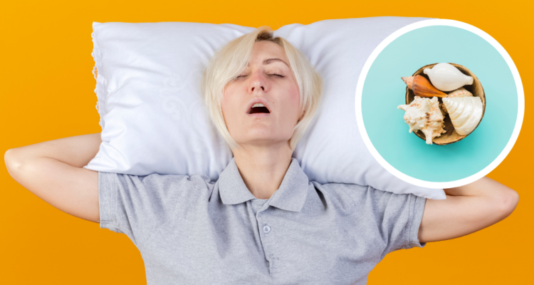 Revelan el papel que pueden jugar los caracoles marinos para tratar los ronquidos y apnea del sueño