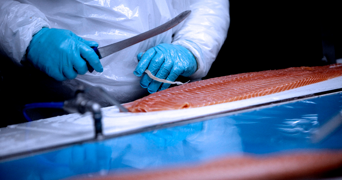 Rusia podría prohibir ingreso de pescados y mariscos chilenos: acusa “problemas” con la documentación
