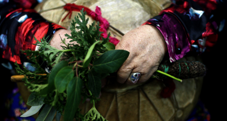 MOP suspende consulta indígena por proyecto que pretendía intervenir amplio tramo en Los Lagos