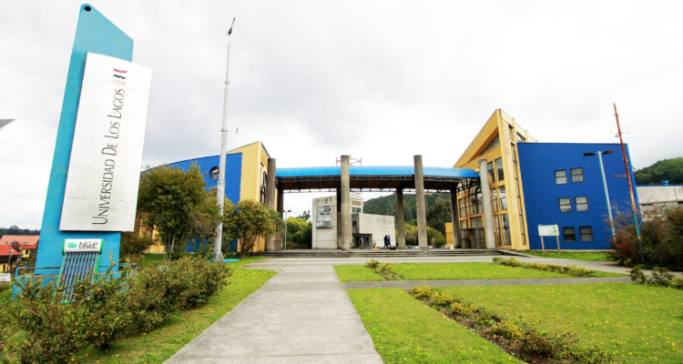 Académico de Puerto Montt acusado de plagio interpone recurso de reposición: “Yo no soy culpable”