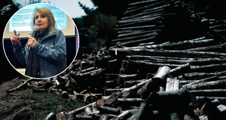 Seremi del Trabajo ofrece disculpas tras relacionar cierre de aserraderos a baja del robo de madera