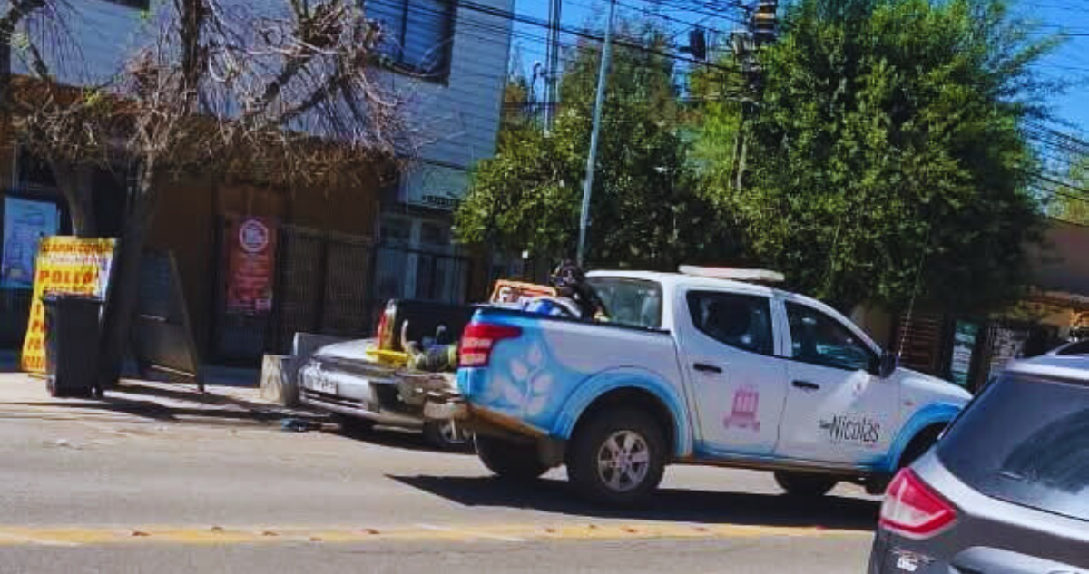 Joven fue trasladada en pick-up de camioneta hasta Cesfam por falta de ambulancia en San Nicolás