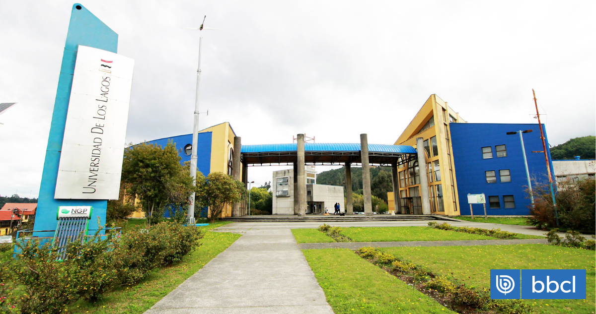 Académico de Puerto Montt acusado de plagio interpone recurso de reposición: 