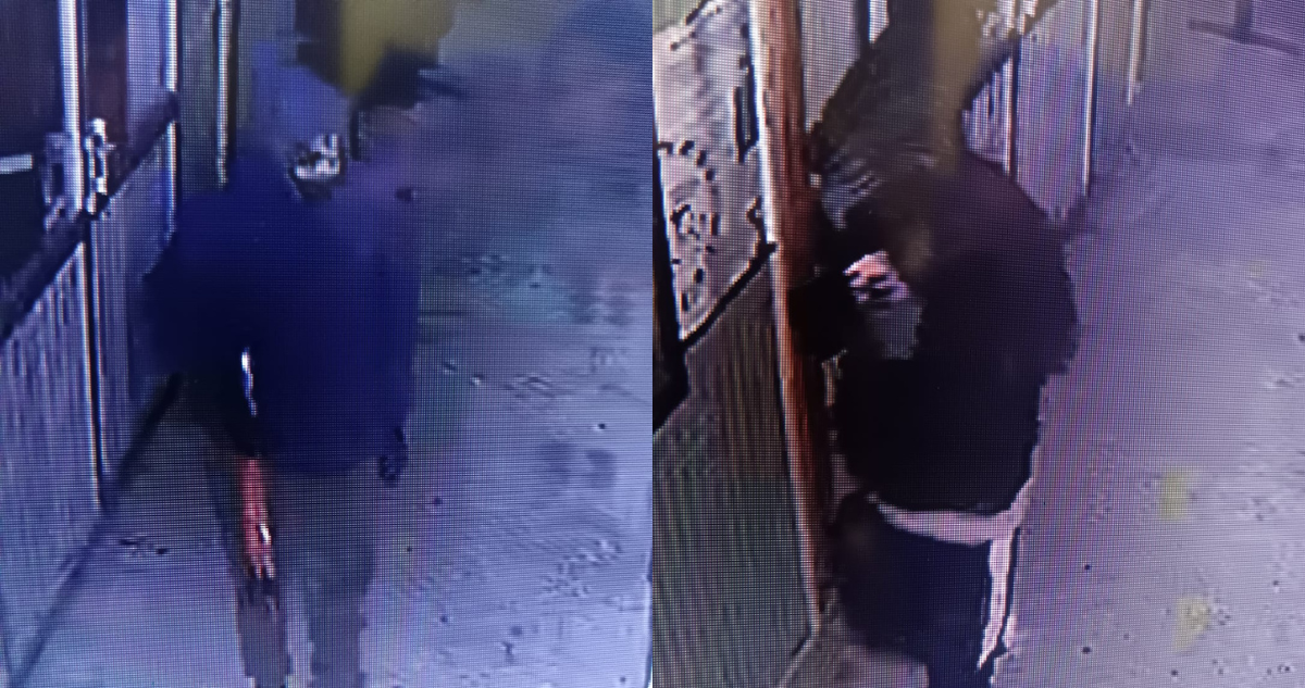 Sujetos roban alimento y equipos de computación de escuelas en Antuco: se estiman pérdidas millonarias