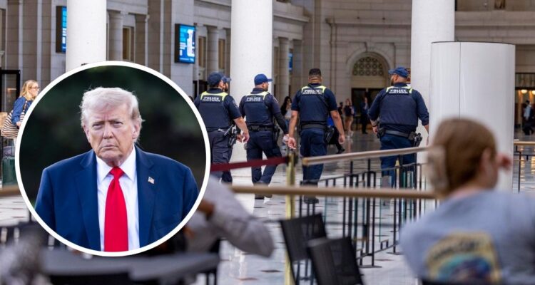 Trump amenaza con declarar una emergencia nacional en Washington D.C. para controlar el crimen