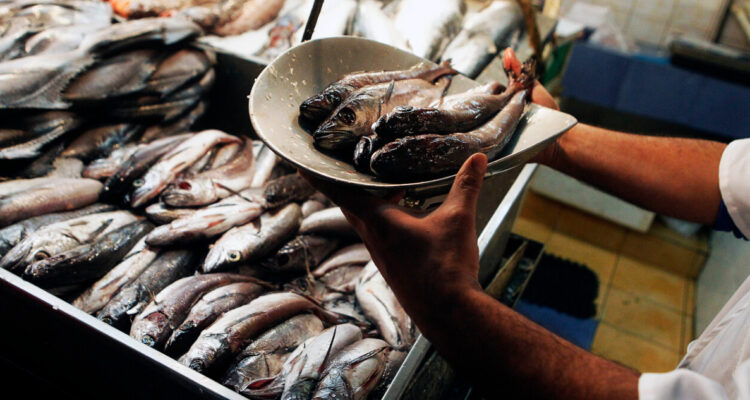 Gobierno llama a respetar veda de merluza común en septiembre y que “no le vendan la pescá” este 18