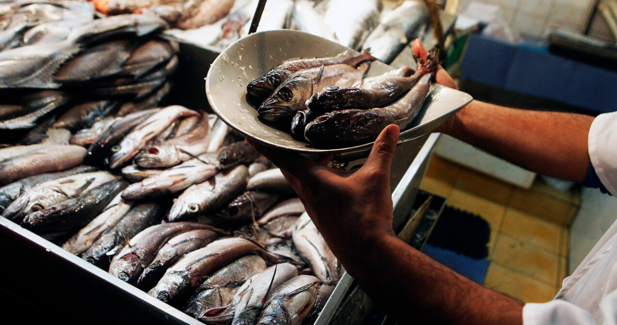 Gobierno llama a respetar veda de merluza común en septiembre y que “no le vendan la pescá” este 18