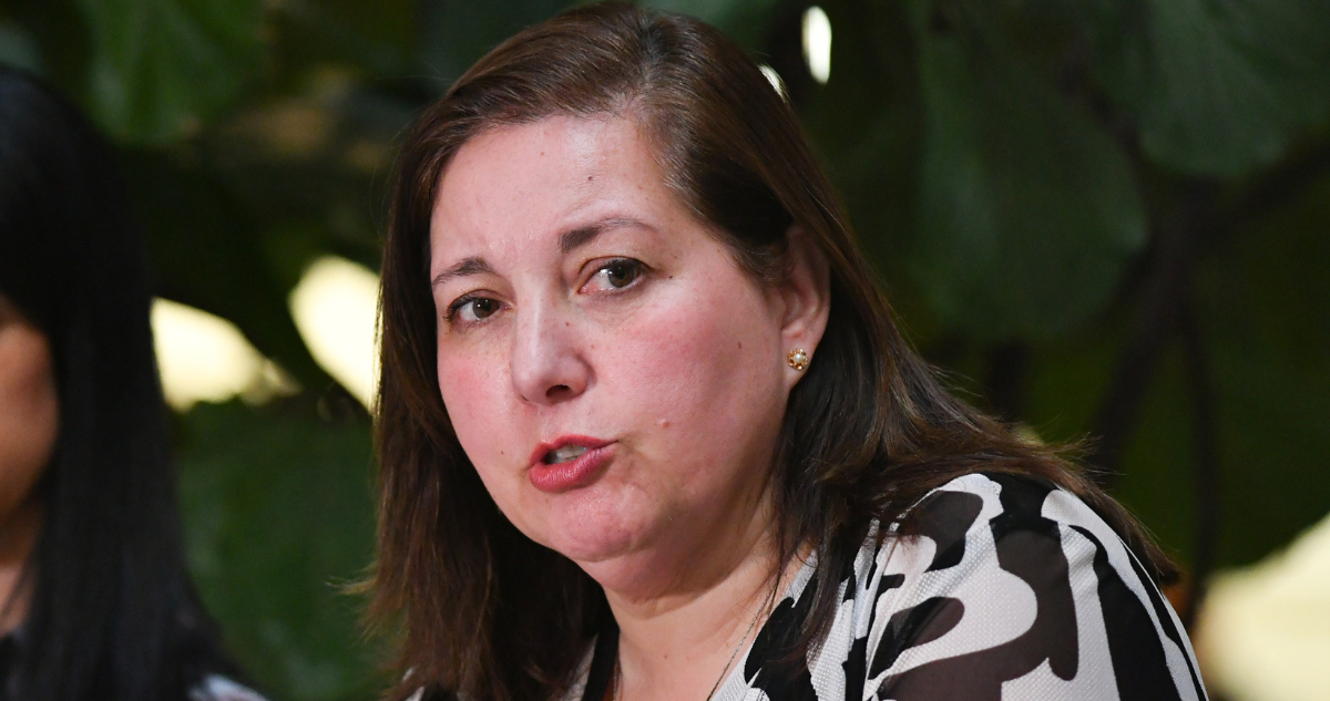 Vodanovic discrepa con SNA y afirma que regularizar migrantes no zanja falta de mano de obra agrícola