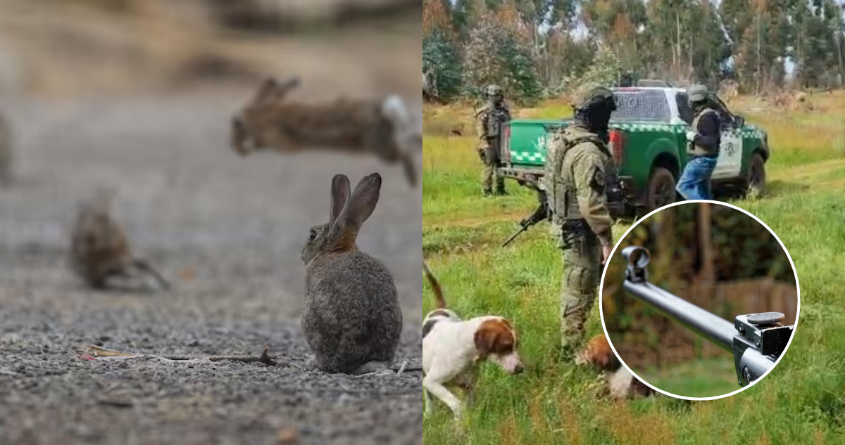APRA califica de amenaza leyenda dejada en el sitio donde cazadores fueron asaltados en Ercilla