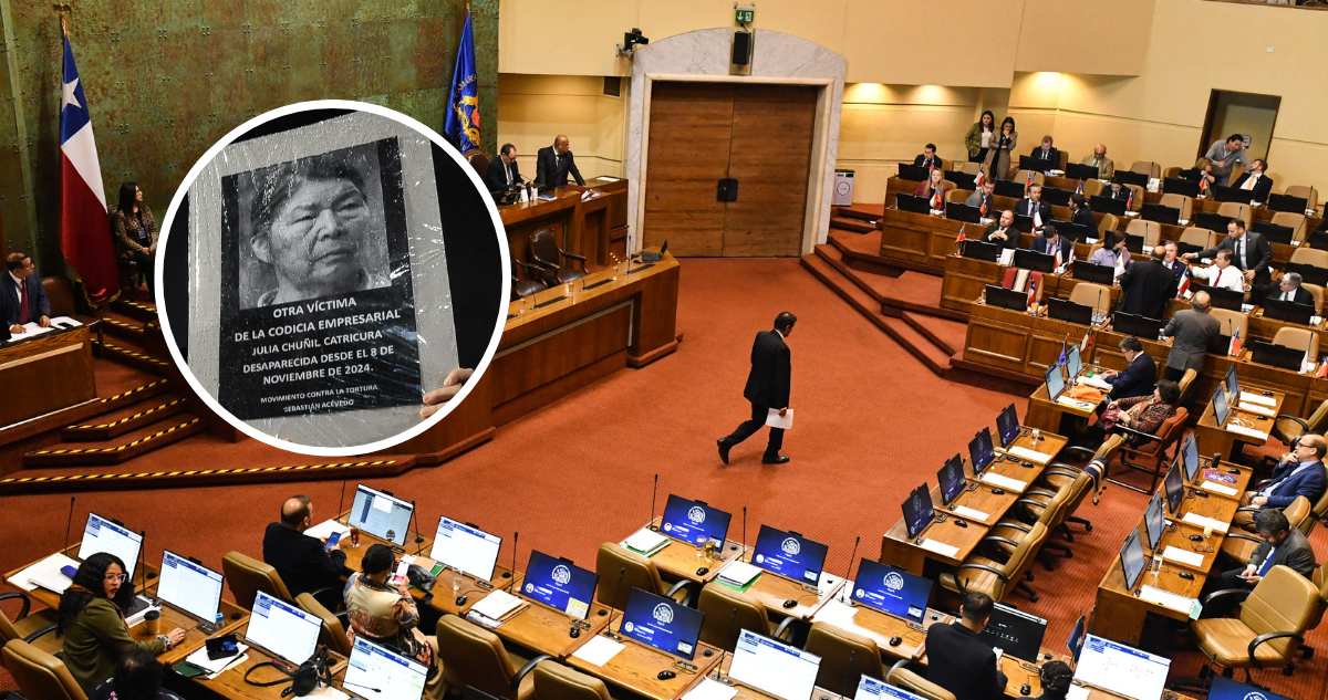 A 11 meses del caso Julia Chuñil: Avanza proyecto de ley que protege a defensores del medio ambiente