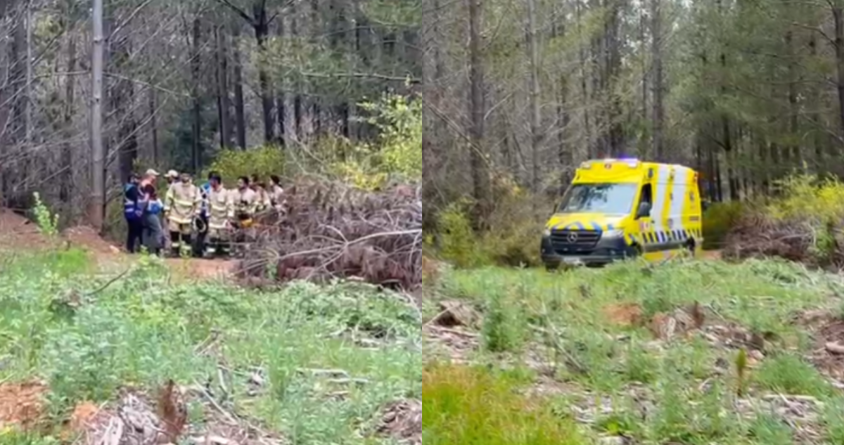 Adulto mayor que estaba perdido en Curanilahue fue encontrado, pero falleció a minutos de su hallazgo