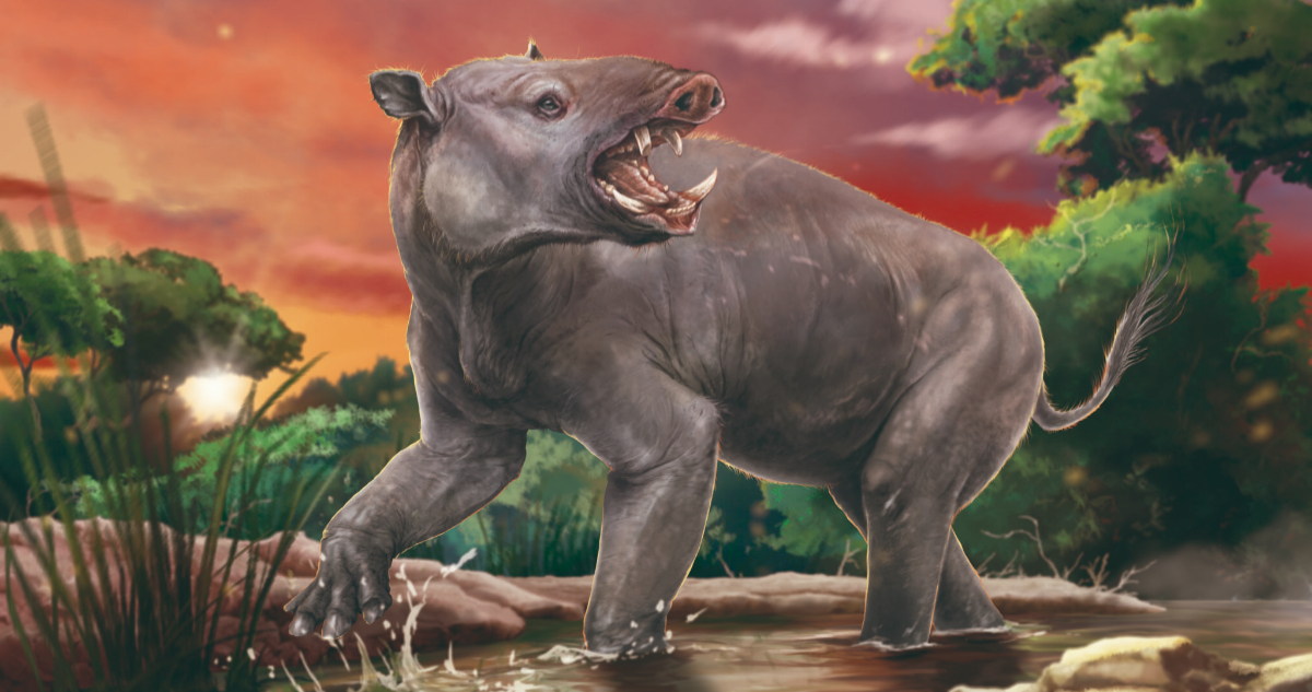 Albertogaudrya unica, el mamífero más antiguo del sur de Chile