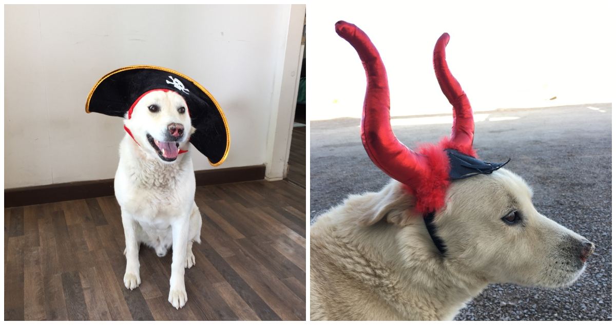 más fotos de Almito