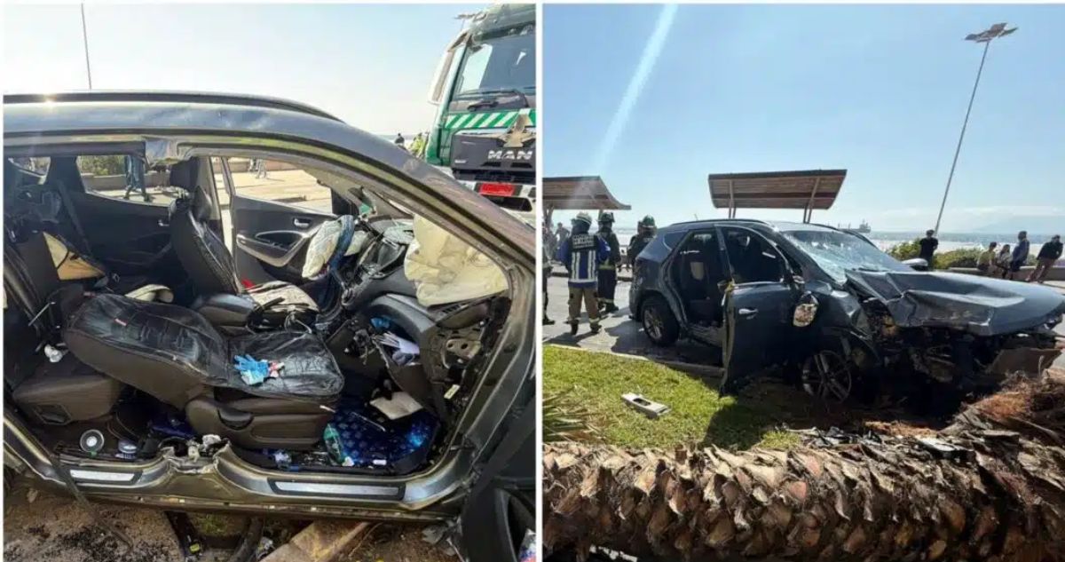 Iba ebrio: formalizan a conductor que colisiono a vehículo y lo hizo chocar con palmera en Antofagasta