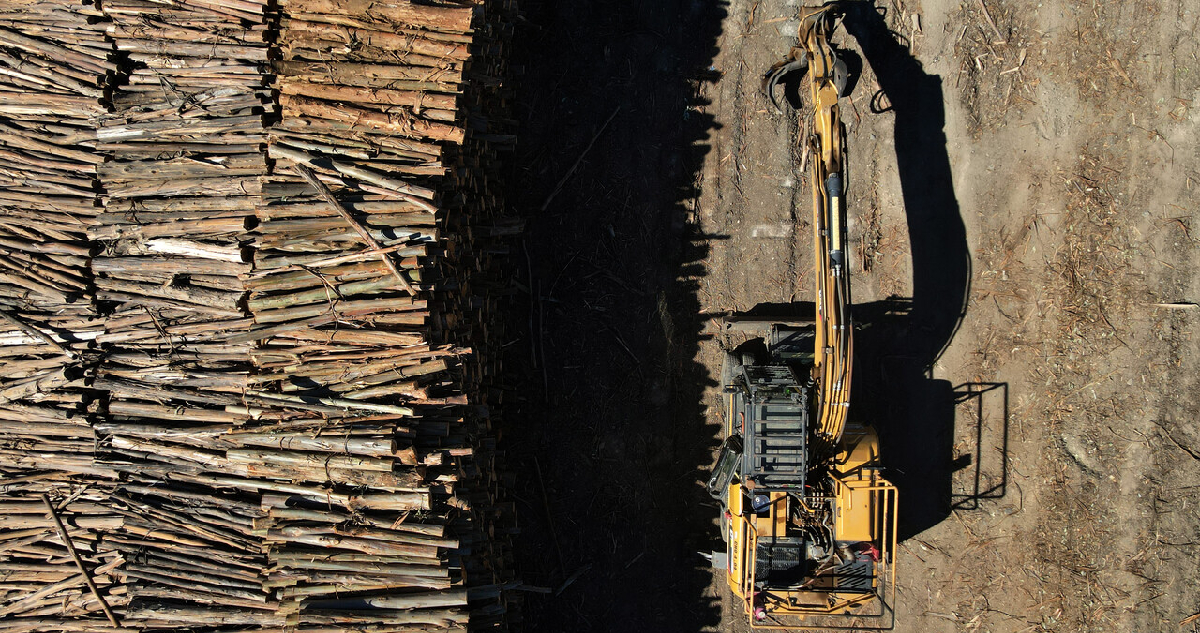 Arancel a la madera: Gobierno revela conversaciones “técnicas” con autoridades comerciales de EEUU