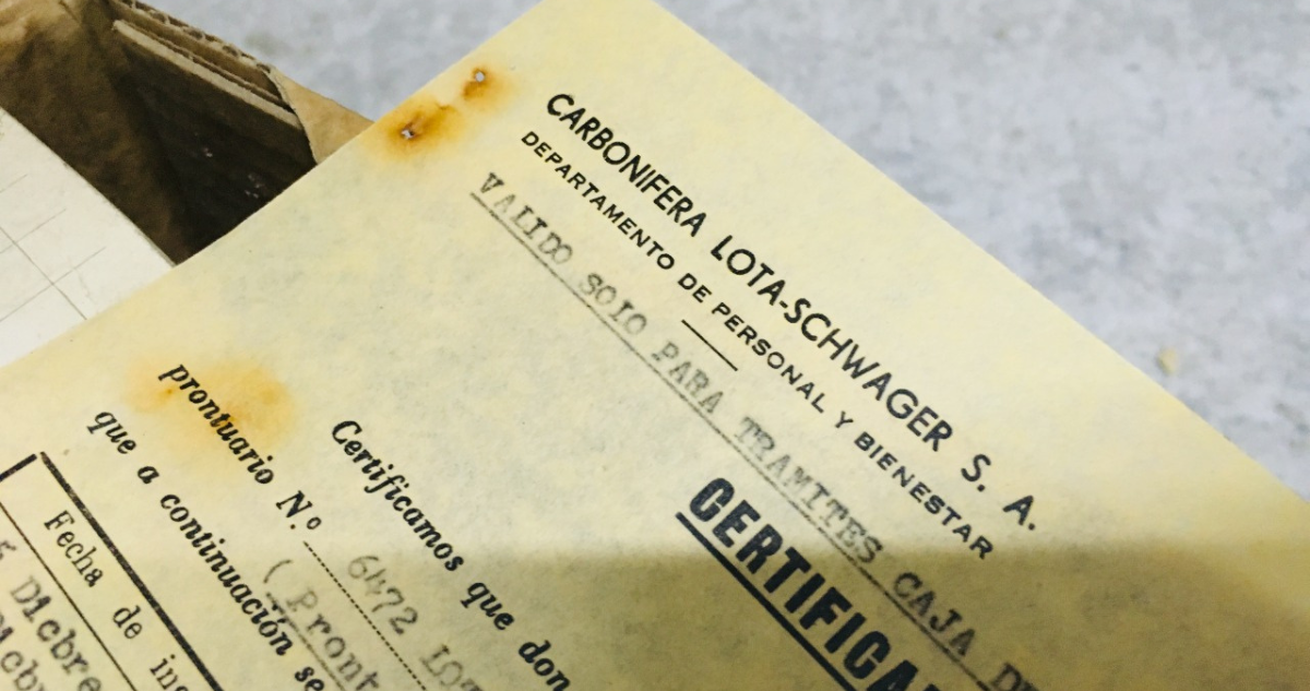 Archivos de Enacar postularán a programa “Memoria del Mundo” de la Unesco