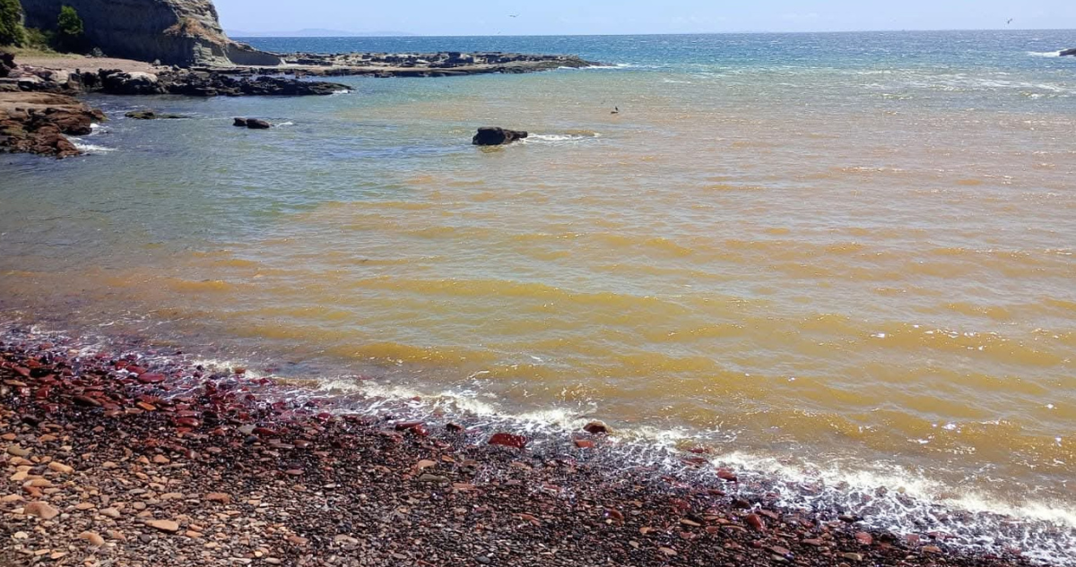 Gobierno busca asegurar recursos para planta que trate desechos de Mina Chiflón del Diablo