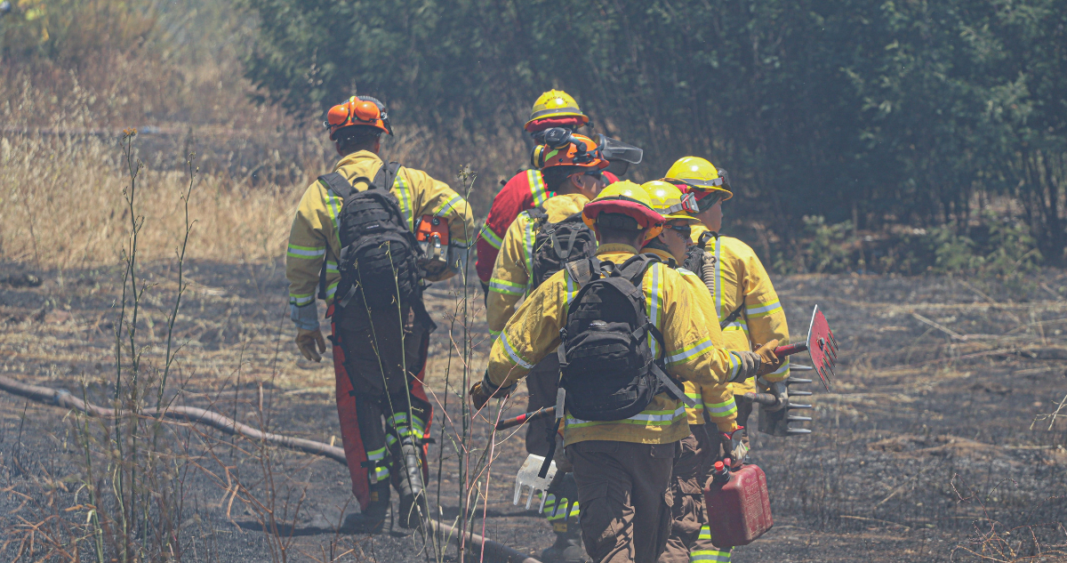 Araucanía: autoridades dan a conocer plan para enfrentar incendios forestales en temporada 2025-2026
