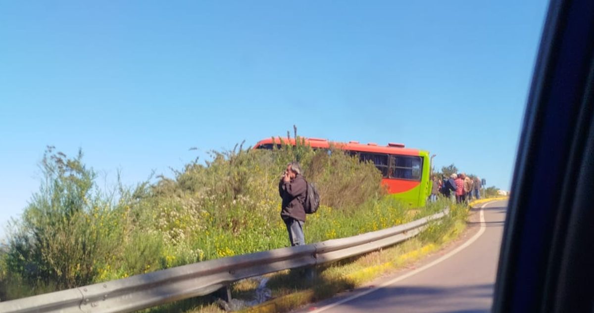 A metros de una tragedia: conductor pierde control de bus y casi desbarranca en Valparaíso