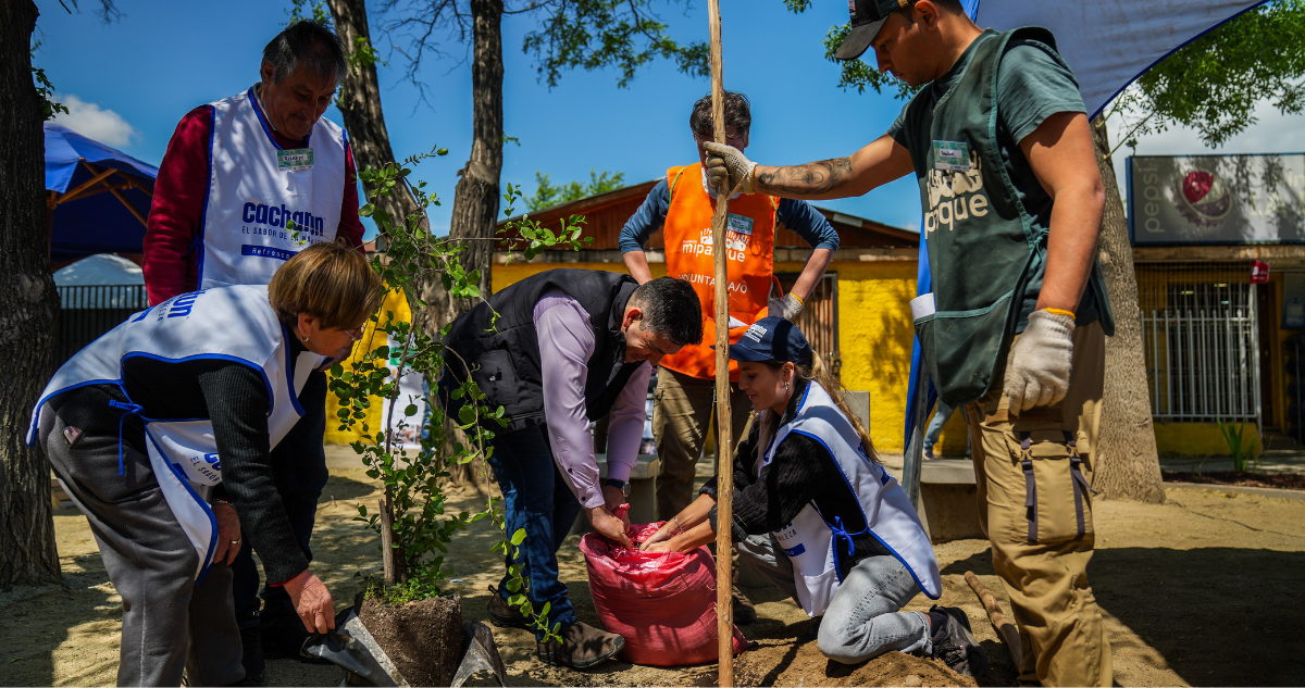 refresca-tu-barrio-graneros