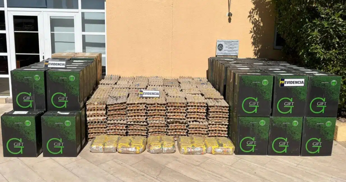 Calama: incautan camión con contrabando de cigarros, hojas de coca, 38 mil huevos y otros productos
