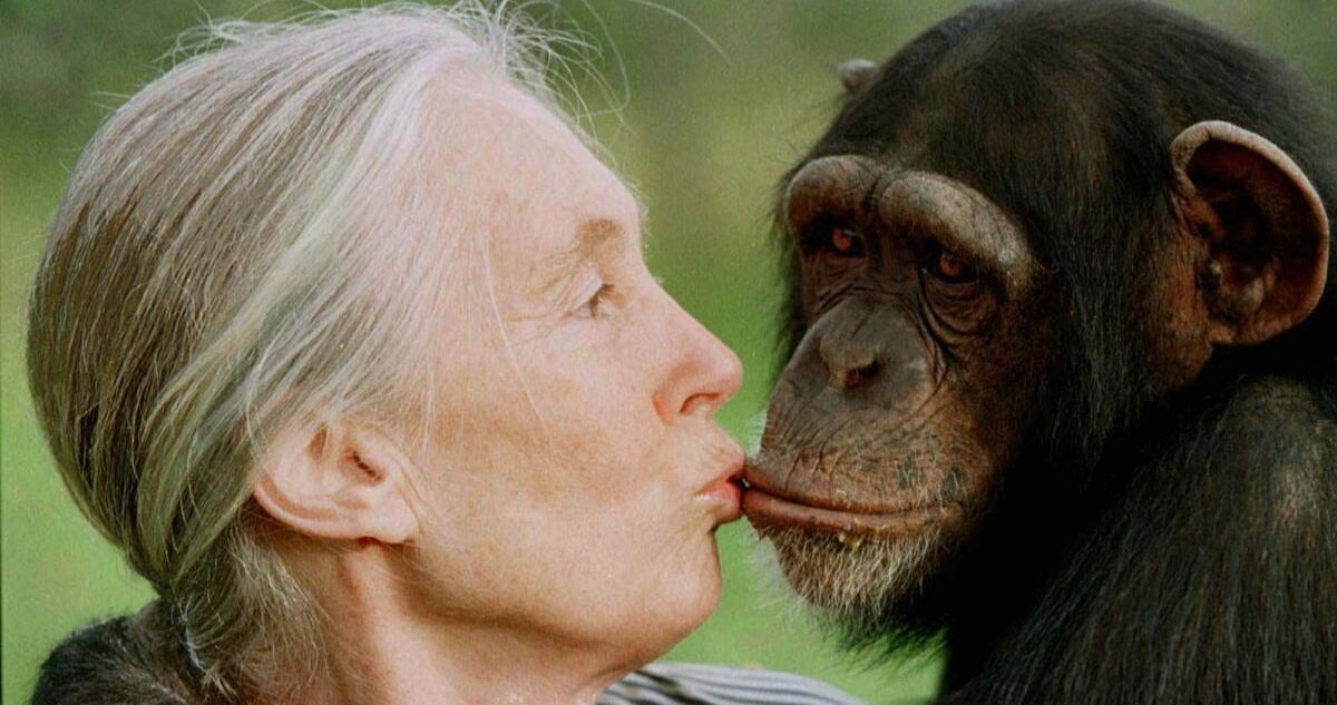 causa de muerte de activista Jane Goodall