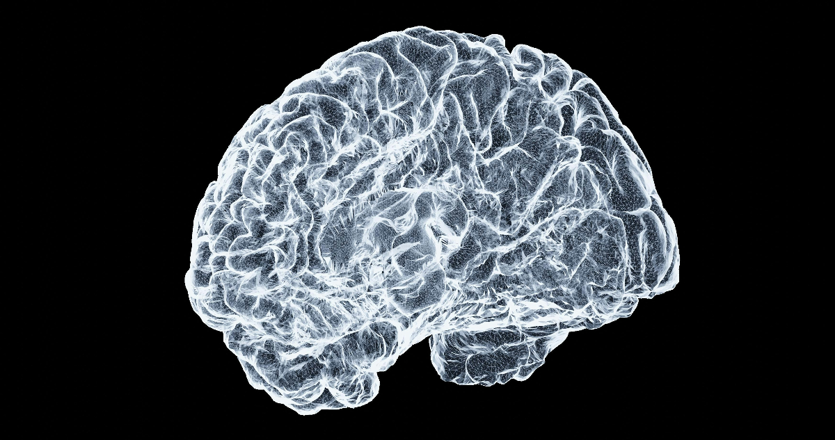 Imagen de un cerebro para ilustrar nota sobre el riesgo de alzheimer