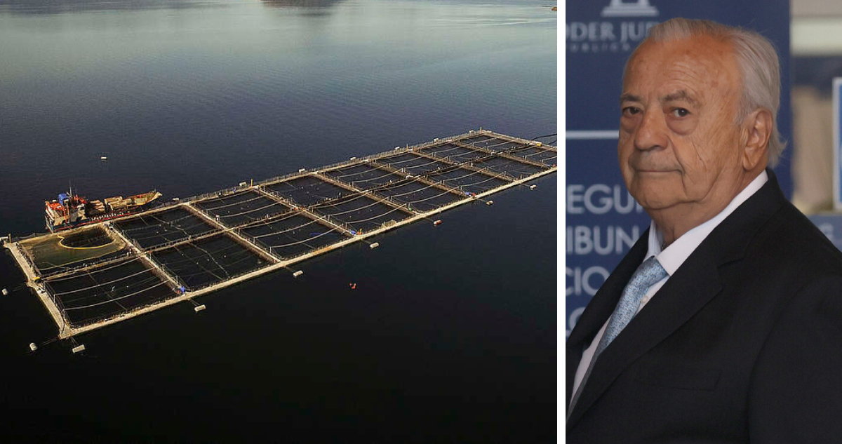 China Joyvio arremete contra recurso con que Quiroga busca evitar pagar US$300 millones por Australis