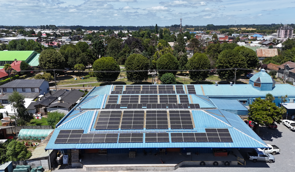 Colun impulsa producción lechera sostenible con sistemas fotovoltaicos para energía limpia