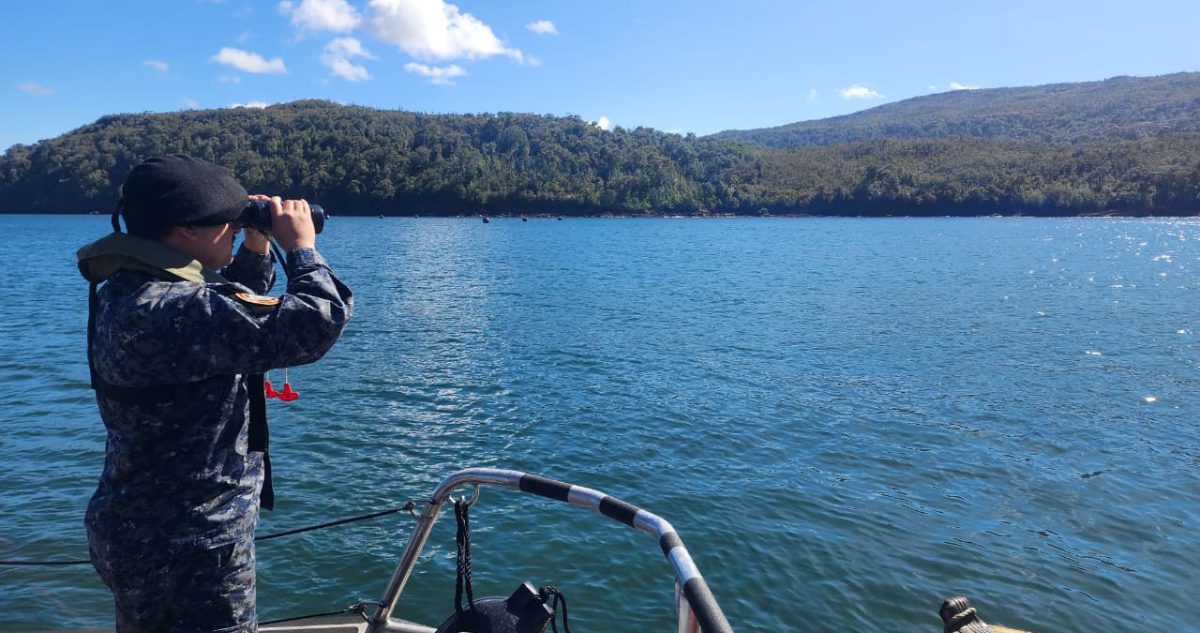Hasta con robot buscan a pescador desaparecido que habría caído al mar mientras navegaba en Quellón