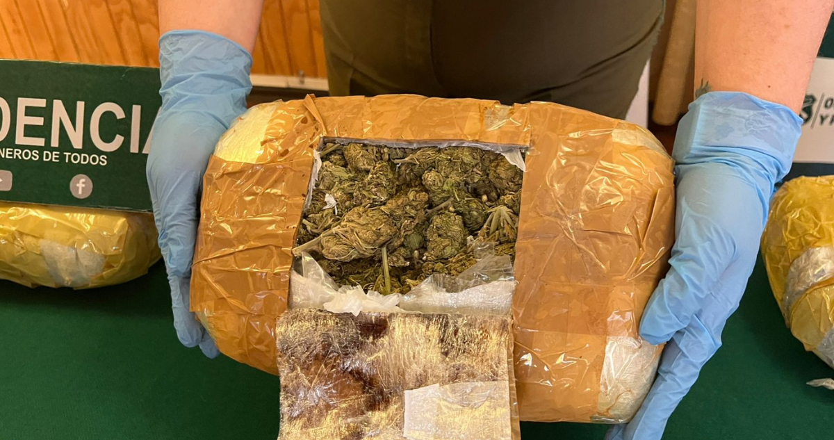 Control a bus con destino a Puerto Montt termina con 32 kilos de droga incautada y mujer detenida