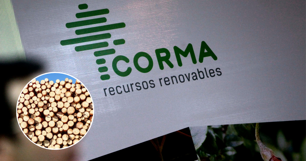 Corma manifiesta preocupación por Pymes ante nuevo arancel a la madera anunciado por Donald Trump