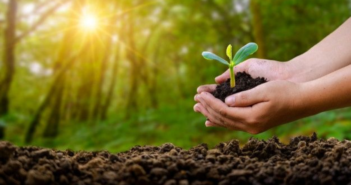 Piden a candidatos presidenciales comprometerse con medioambiente ante ausencia de tema en programas