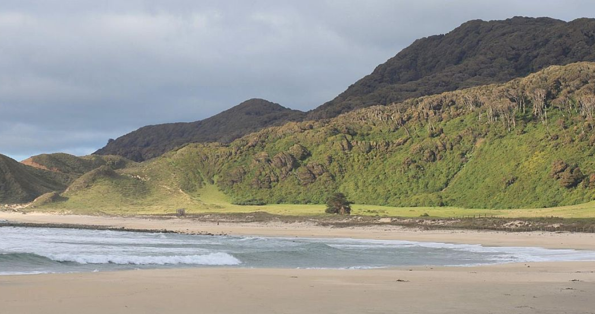 Habitantes de Isla Mocha afirman no tener protocolo para emergencias médicas: gobierno dice que sí hay