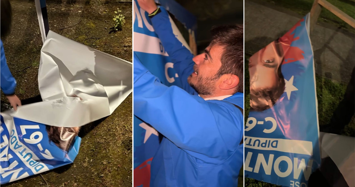 Ex delegado presidencial de Temuco denunció destrucción de sus palomas de campaña: hay un detenido