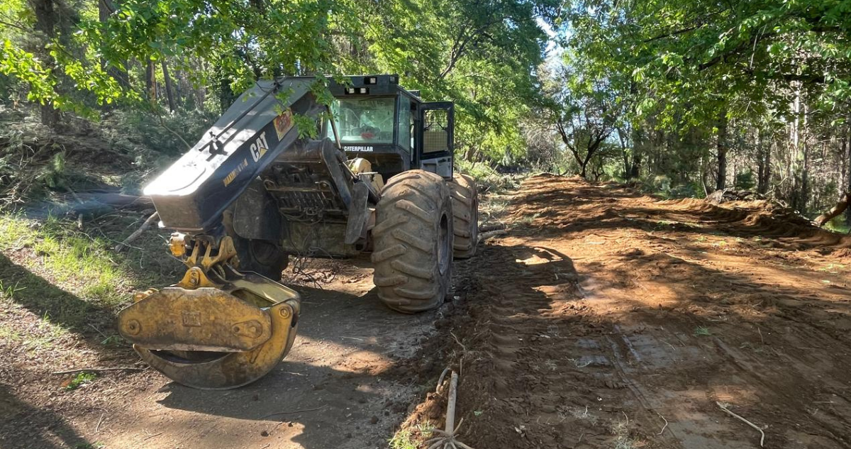 Sujeto contrató a 7 hombres para robar madera en San Fabián: no sabían del delito y fueron detenidos