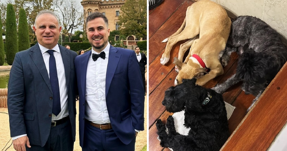 Dos novios argentinos se casarán con sus cinco perros como testigos.