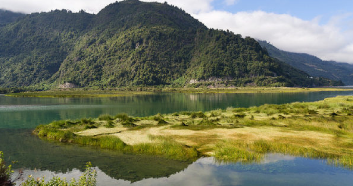  Cristian Pérez (CC)