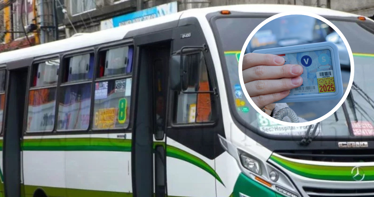 Foto de contexto de taxibús de la línea 8 y de TNE