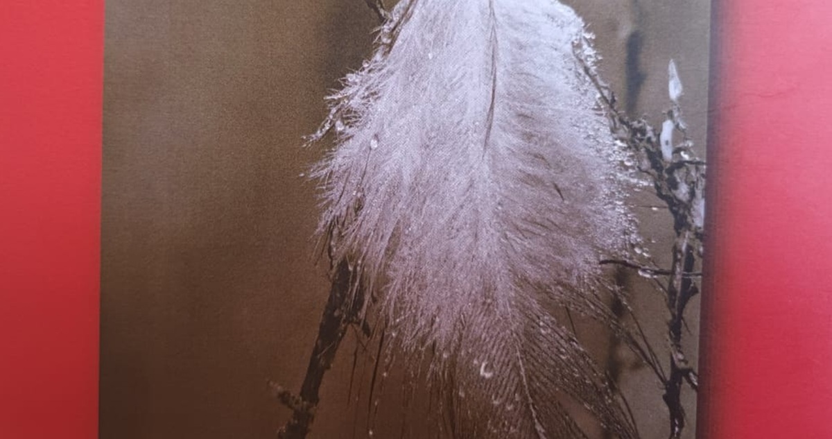 Río de avaricia de Antonio Riquelme Quinteros, Lagar Editores