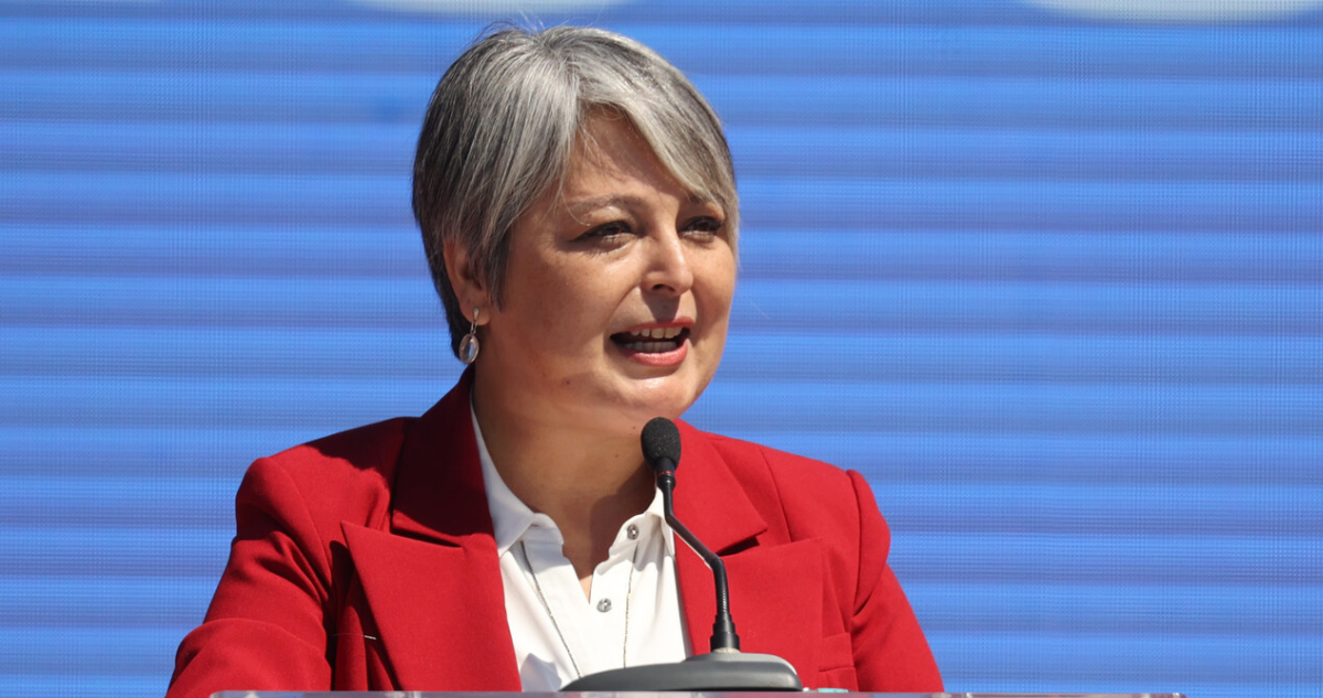 Jara propone rebajar 20% en las boletas de luz y establecer un consumo eléctrico vital