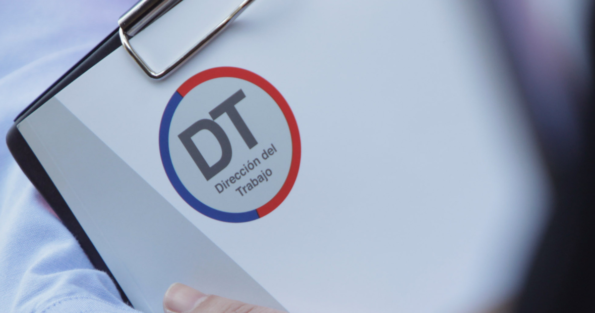 Los Ríos: encuesta de Dirección del Trabajo revela distintos aspectos en materia de empleabilidad