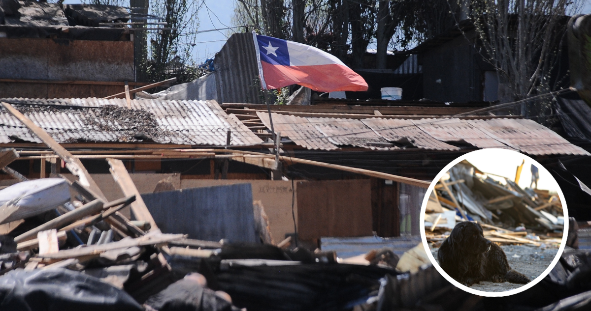 Toma Dignidad en La Florida