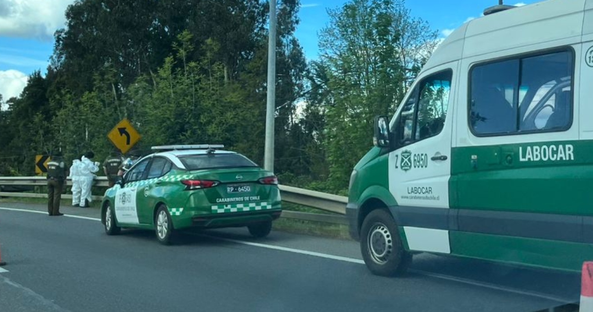 Encuentran cadáver en matorrales de la Ruta 5 Sur