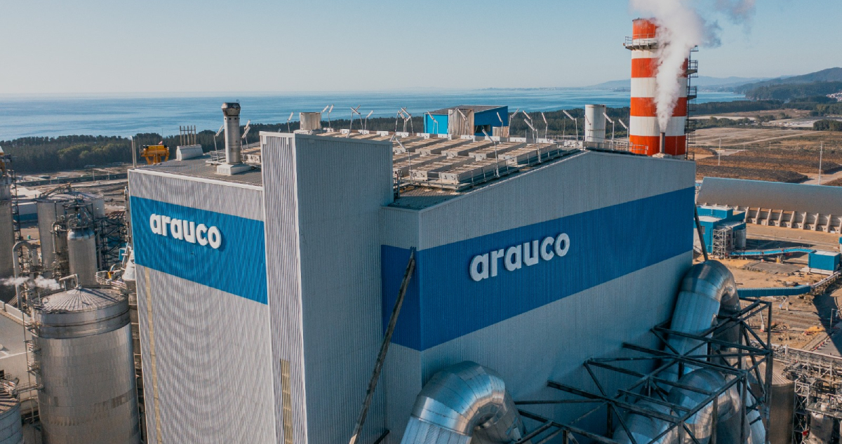 Equivalente a US$800 millones: Arauco emite el bono corporativo más grande en la historia de Chile