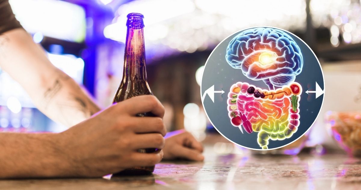 Descubren que hongo intestinal influiría directamente en el consumo de alcohol, por medio del cerebro