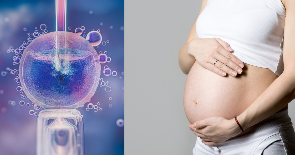 Fertilización asistida: cómo se diferencian la inseminación artificial y la fecundación in vitro