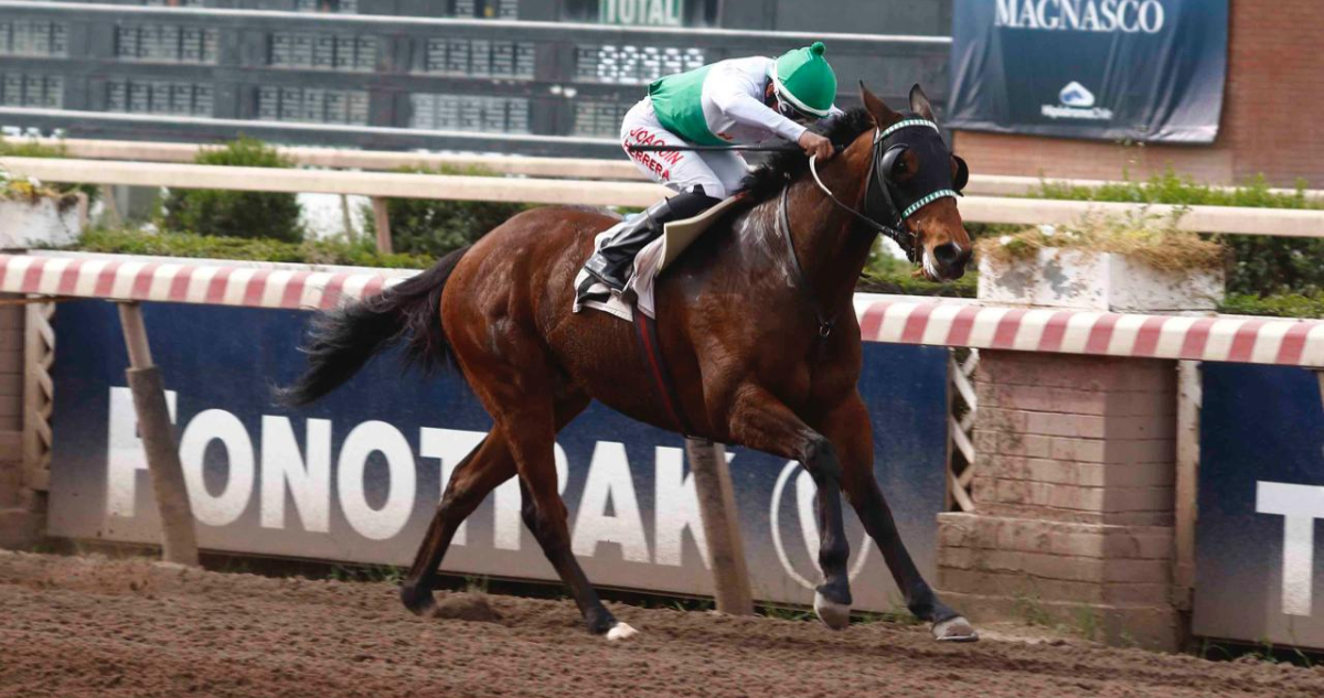 “Hey Joke” se coronó como el nuevo ganador del Gran Clásico Radio Bío Bío en el Hipódromo Chile