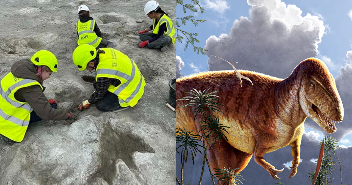 Huellas de Megalosaurus