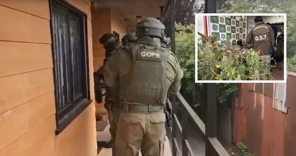 Operativo incautan droga avaluada en 300 millones de pesos en Valdivia